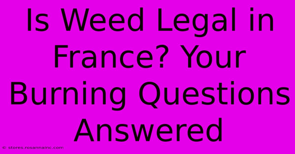 Is Weed Legal In France? Your Burning Questions Answered