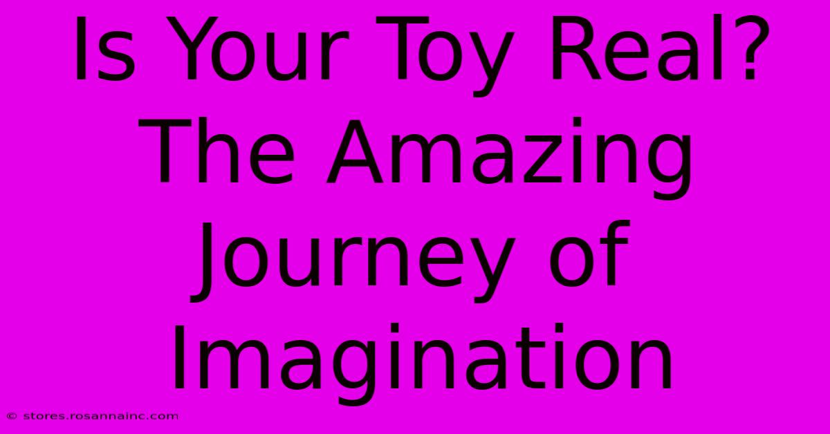 Is Your Toy Real? The Amazing Journey Of Imagination