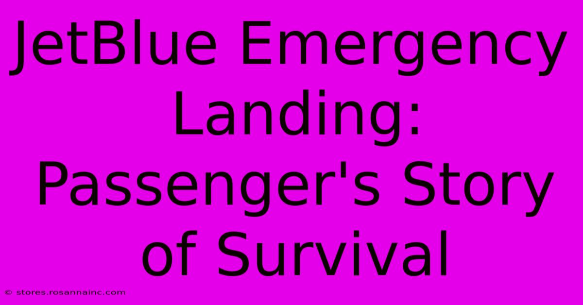 JetBlue Emergency Landing: Passenger's Story Of Survival