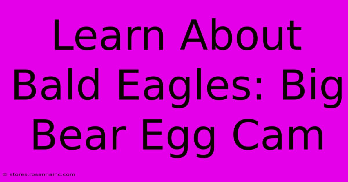 Learn About Bald Eagles: Big Bear Egg Cam