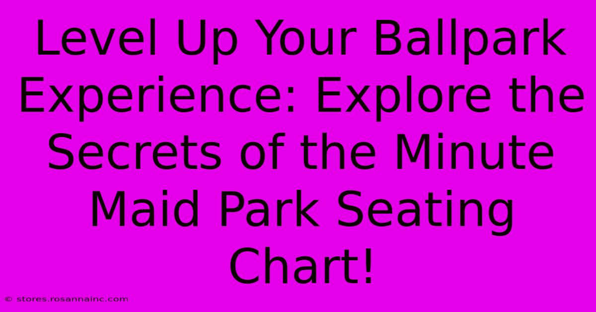 Level Up Your Ballpark Experience: Explore The Secrets Of The Minute Maid Park Seating Chart!