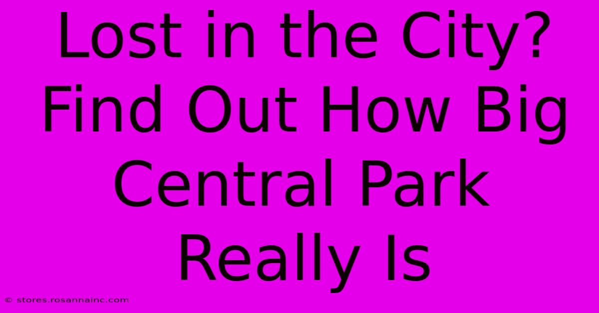 Lost In The City? Find Out How Big Central Park Really Is