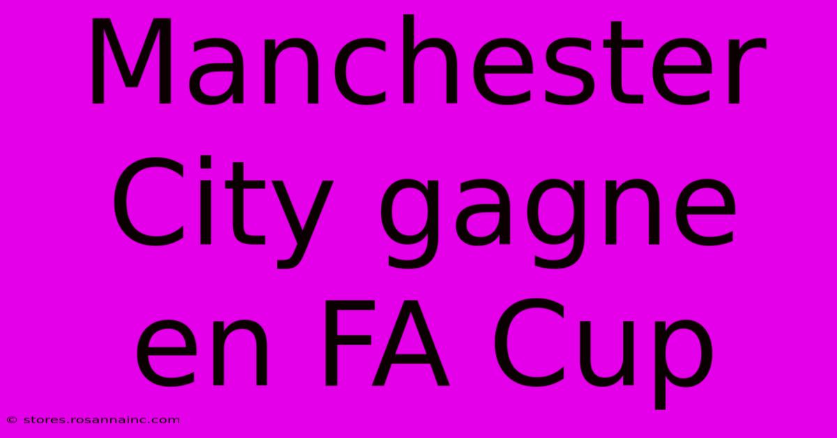 Manchester City Gagne En FA Cup