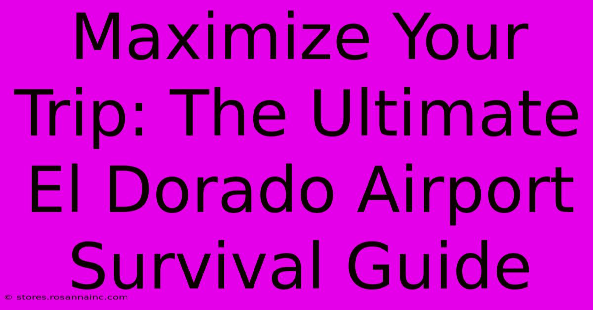 Maximize Your Trip: The Ultimate El Dorado Airport Survival Guide