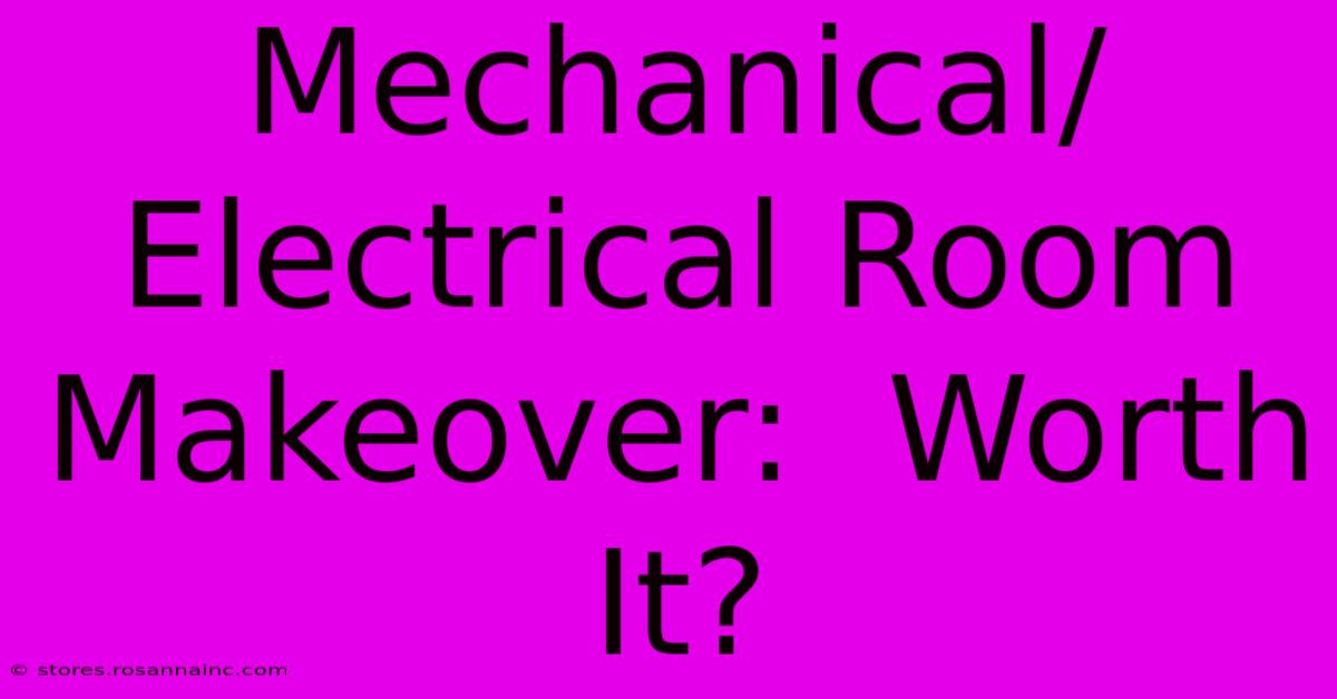 Mechanical/Electrical Room Makeover:  Worth It?