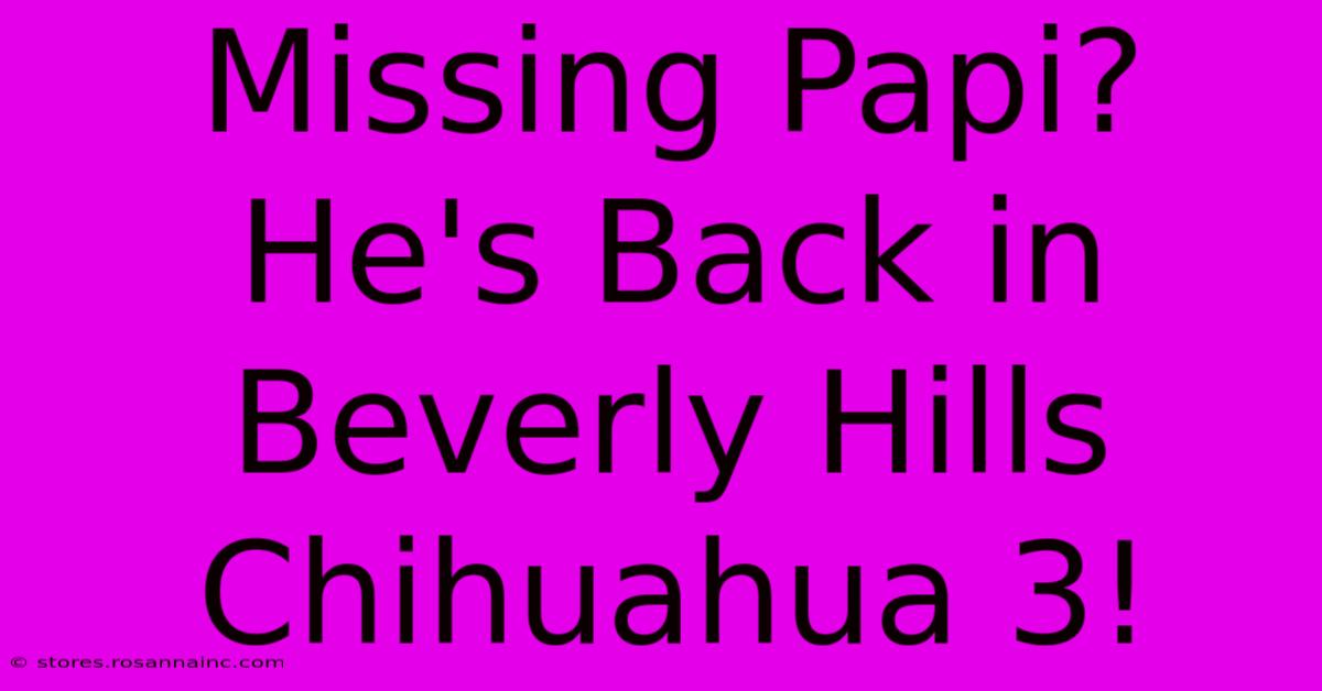 Missing Papi? He's Back In Beverly Hills Chihuahua 3!