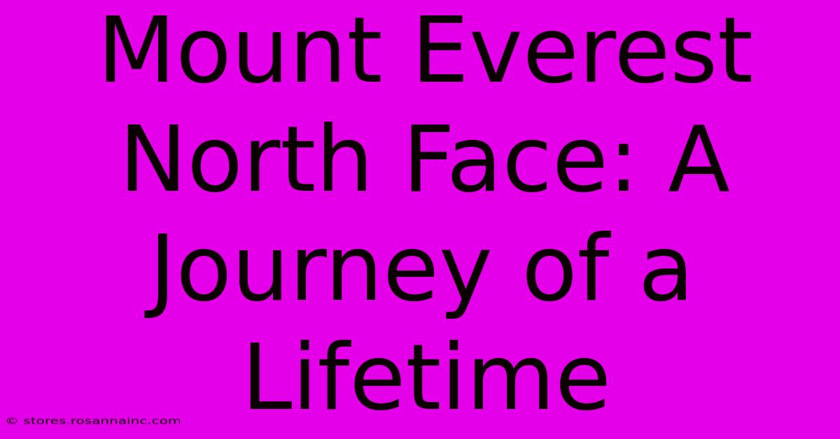 Mount Everest North Face: A Journey Of A Lifetime