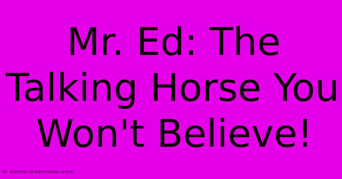 Mr. Ed: The Talking Horse You Won't Believe!