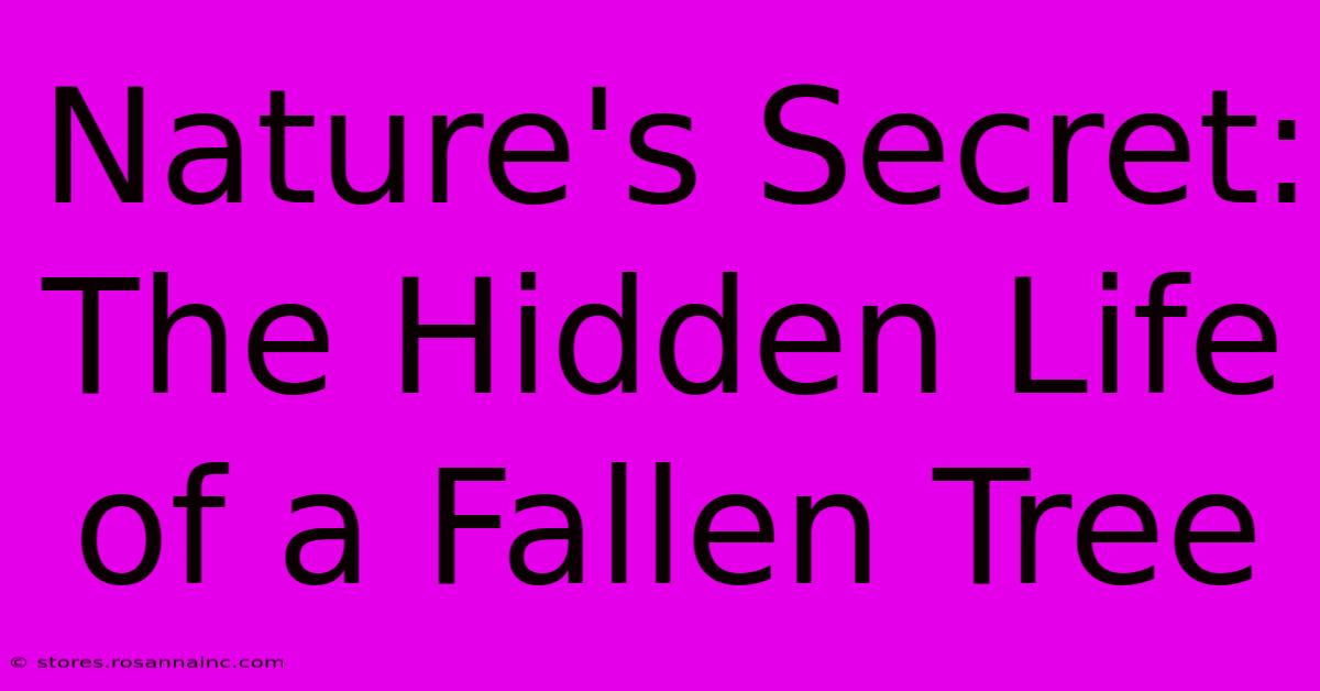 Nature's Secret: The Hidden Life Of A Fallen Tree