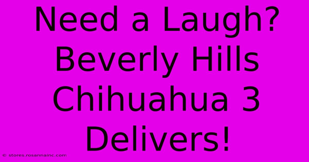 Need A Laugh? Beverly Hills Chihuahua 3 Delivers!