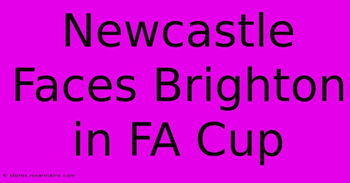 Newcastle Faces Brighton In FA Cup