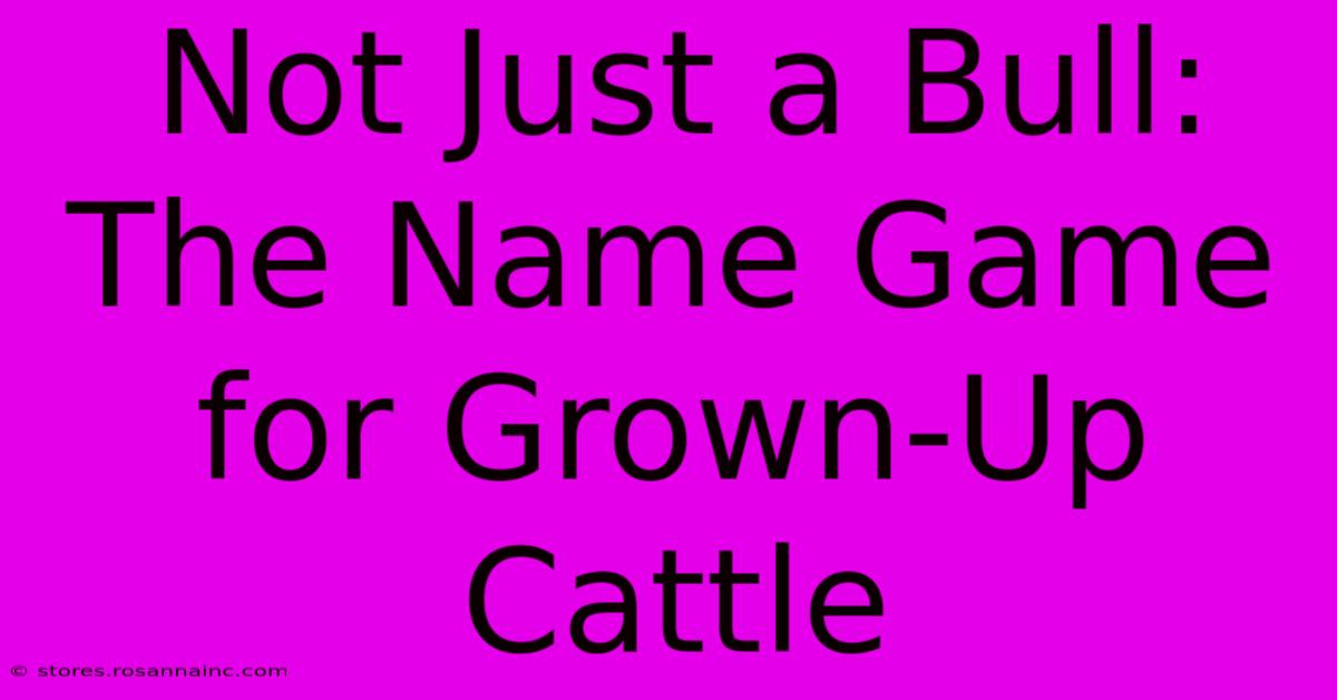 Not Just A Bull: The Name Game For Grown-Up Cattle