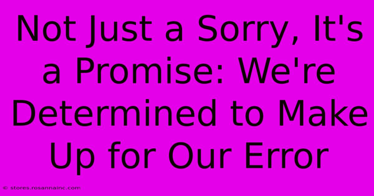 Not Just A Sorry, It's A Promise: We're Determined To Make Up For Our Error