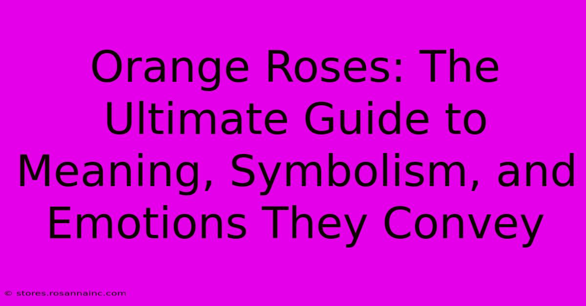 Orange Roses: The Ultimate Guide To Meaning, Symbolism, And Emotions They Convey