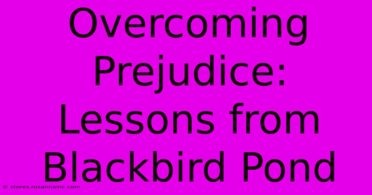 Overcoming Prejudice: Lessons From Blackbird Pond