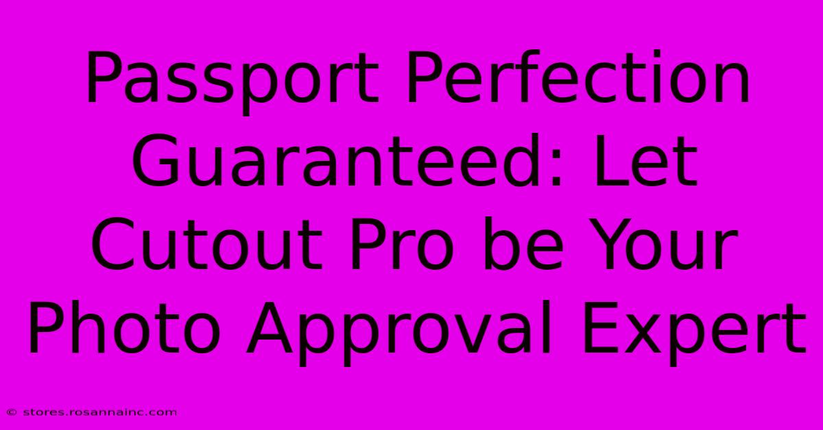 Passport Perfection Guaranteed: Let Cutout Pro Be Your Photo Approval Expert