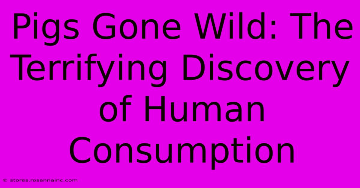 Pigs Gone Wild: The Terrifying Discovery Of Human Consumption