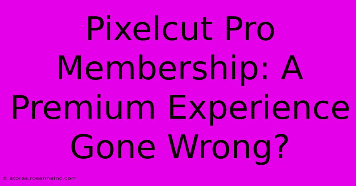 Pixelcut Pro Membership: A Premium Experience Gone Wrong?