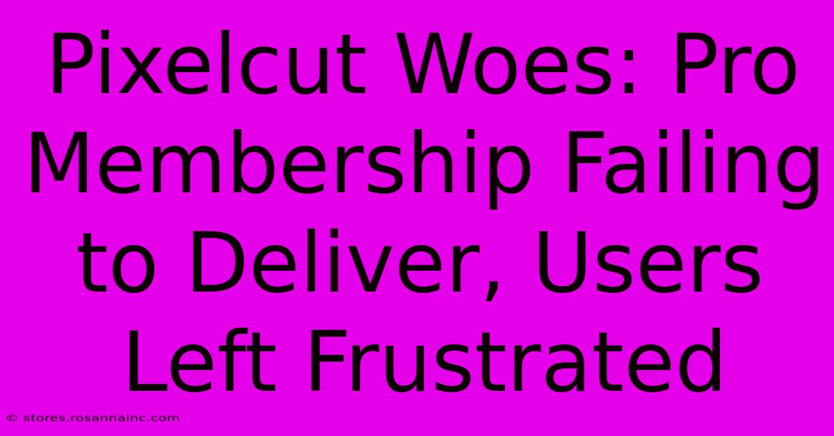 Pixelcut Woes: Pro Membership Failing To Deliver, Users Left Frustrated