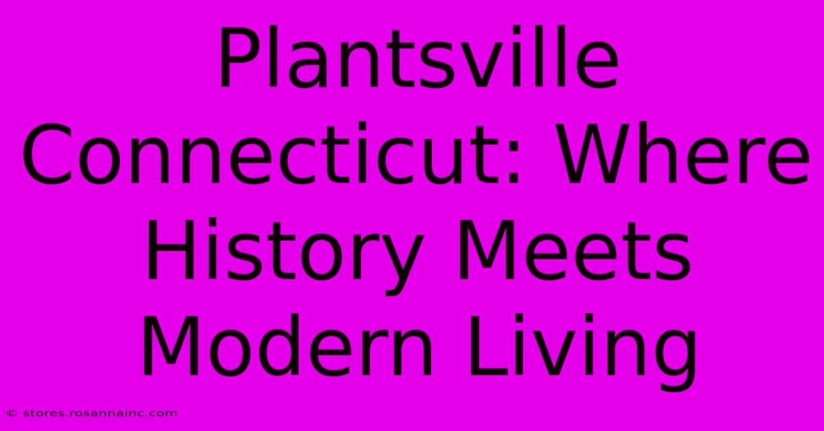 Plantsville Connecticut: Where History Meets Modern Living