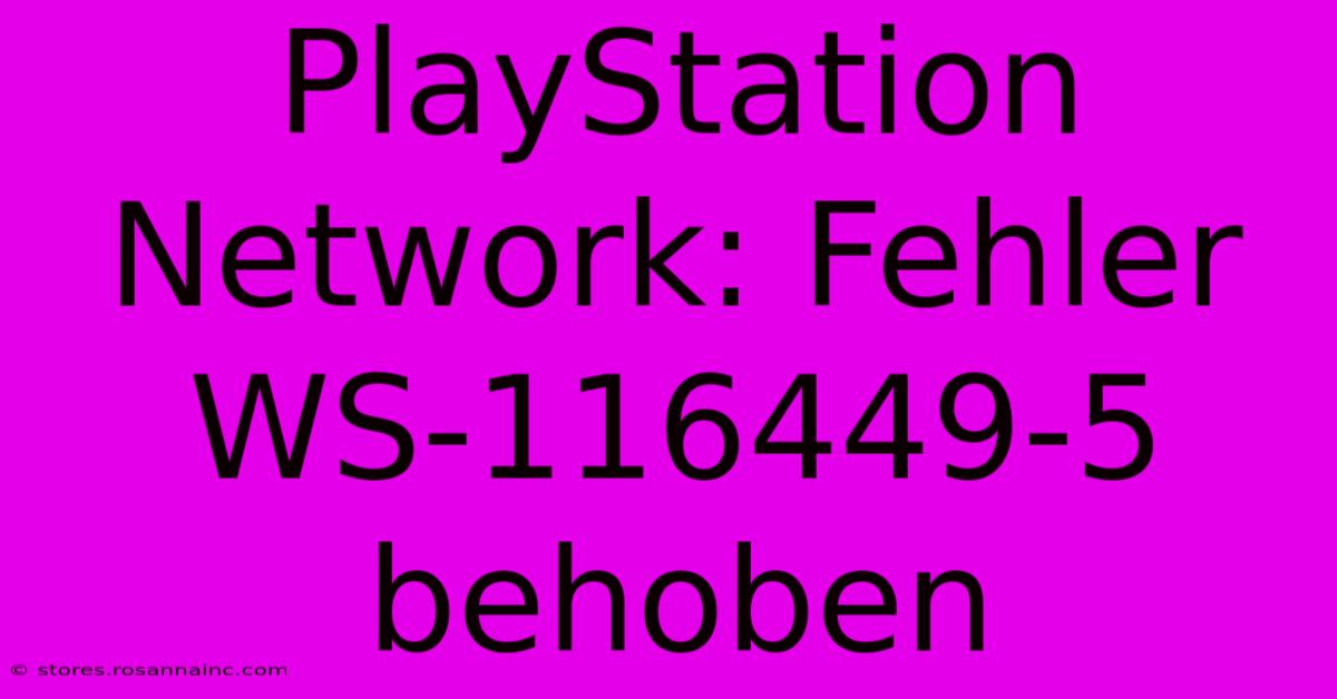 PlayStation Network: Fehler WS-116449-5 Behoben