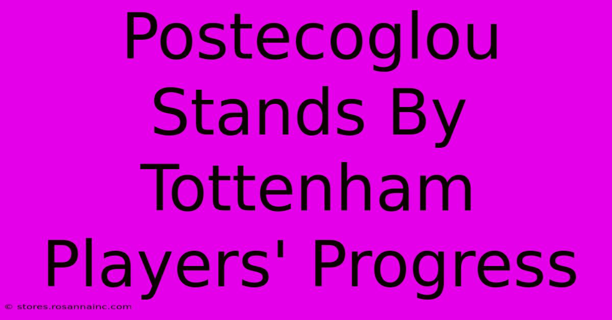 Postecoglou Stands By Tottenham Players' Progress