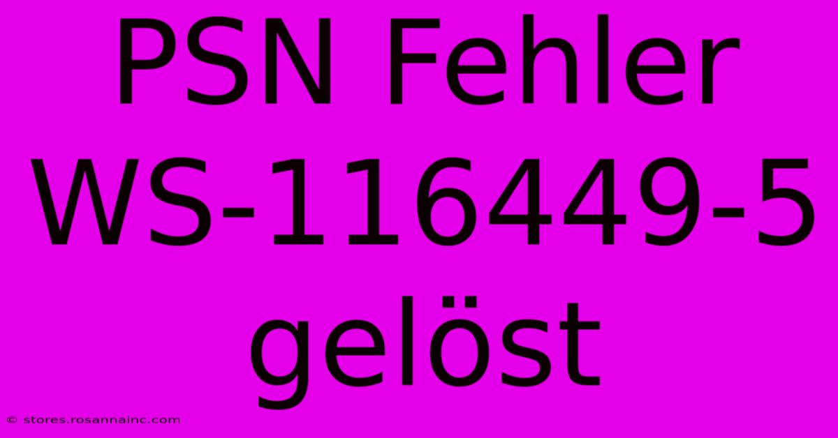 PSN Fehler WS-116449-5 Gelöst