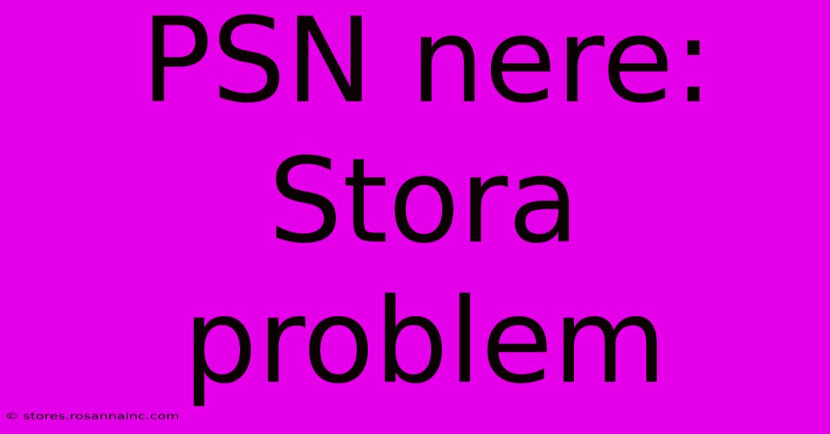 PSN Nere: Stora Problem