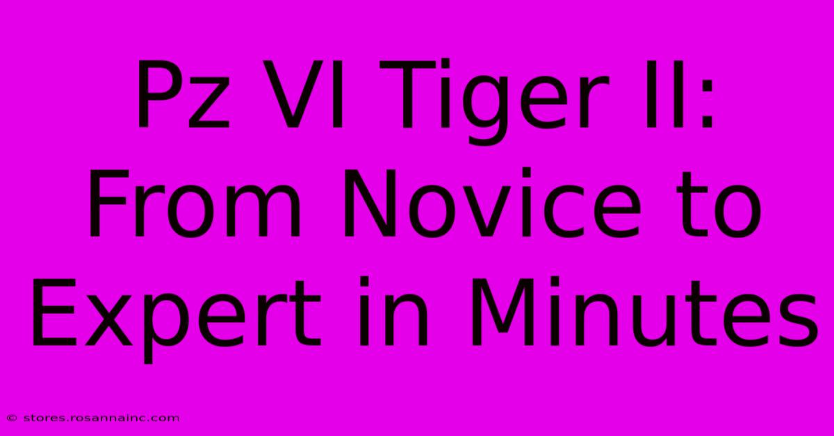 Pz VI Tiger II:  From Novice To Expert In Minutes