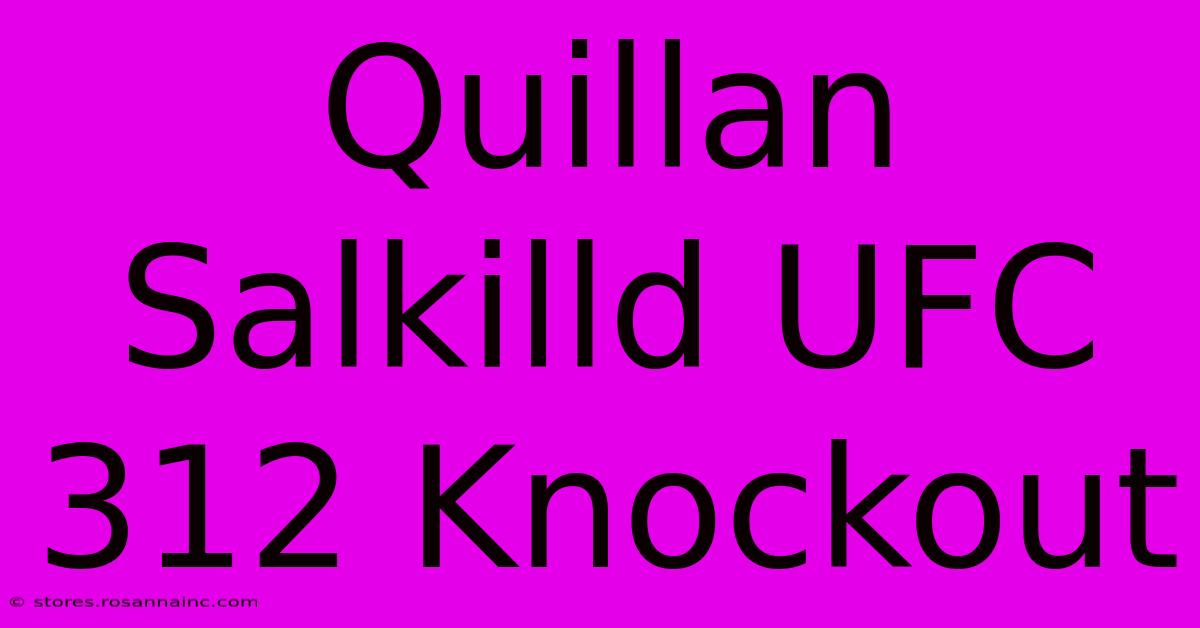 Quillan Salkilld UFC 312 Knockout