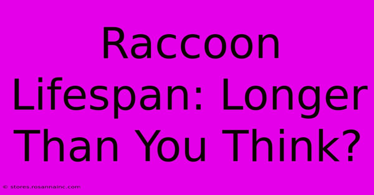 Raccoon Lifespan: Longer Than You Think?