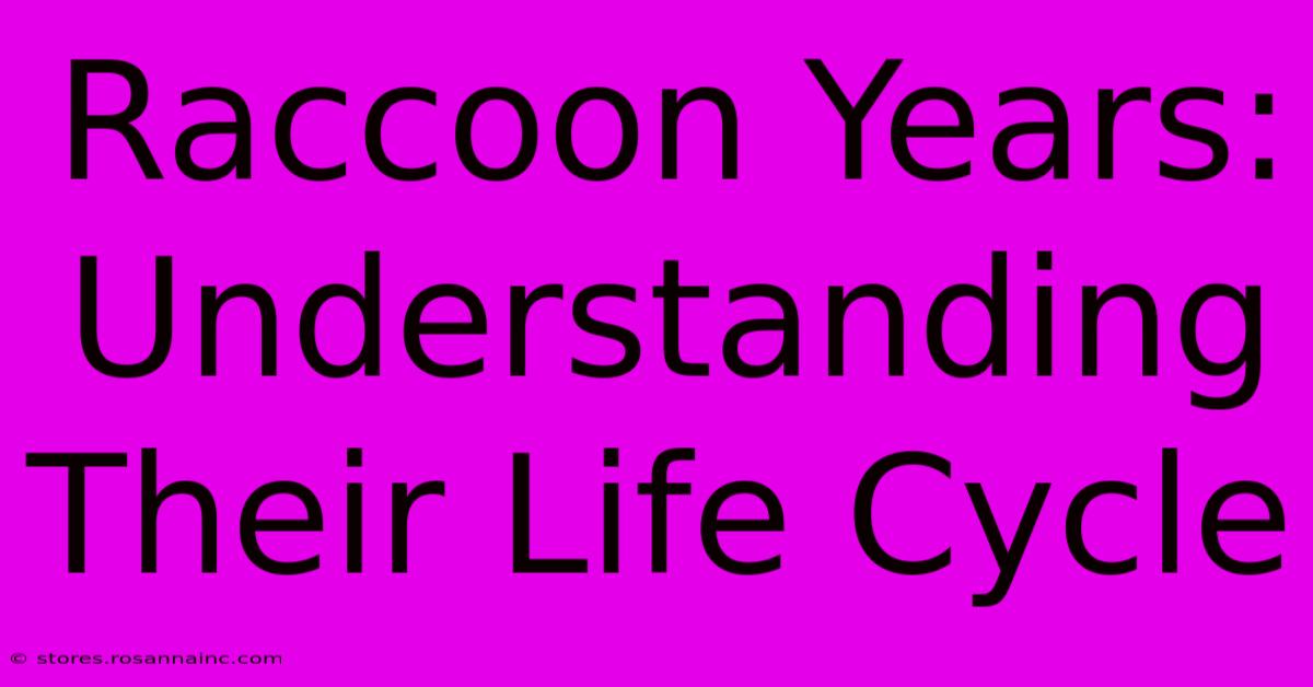 Raccoon Years: Understanding Their Life Cycle