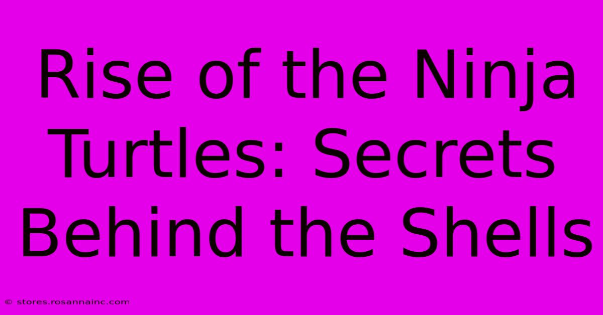 Rise Of The Ninja Turtles: Secrets Behind The Shells