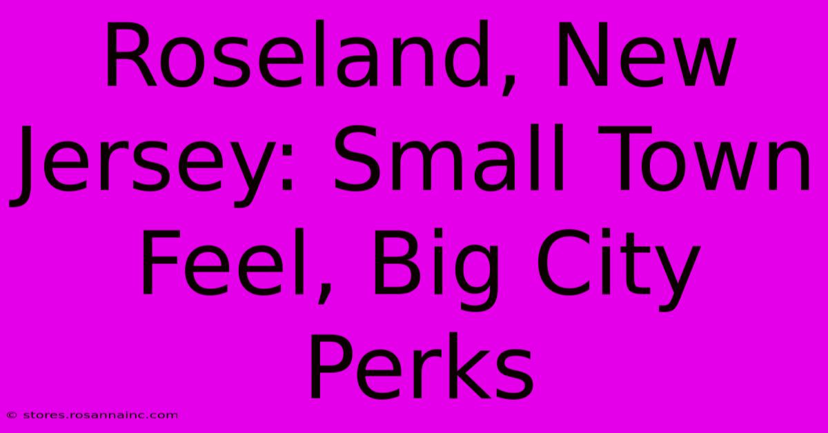 Roseland, New Jersey: Small Town Feel, Big City Perks