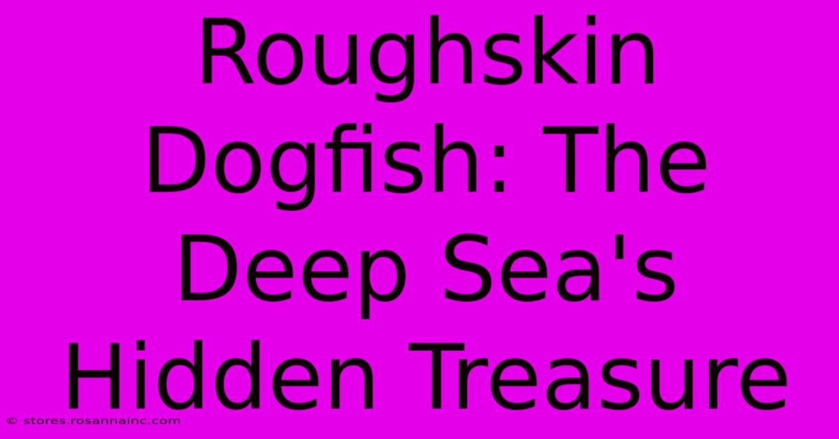 Roughskin Dogfish: The Deep Sea's Hidden Treasure