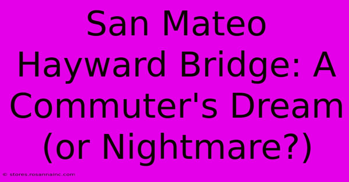 San Mateo Hayward Bridge: A Commuter's Dream (or Nightmare?)