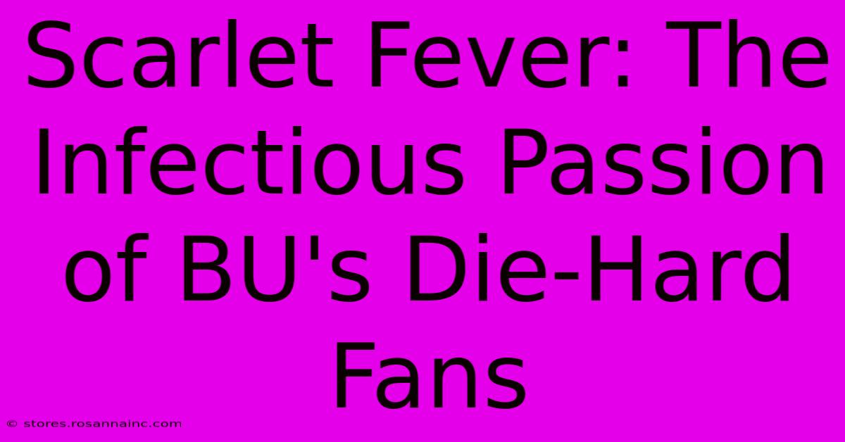 Scarlet Fever: The Infectious Passion Of BU's Die-Hard Fans