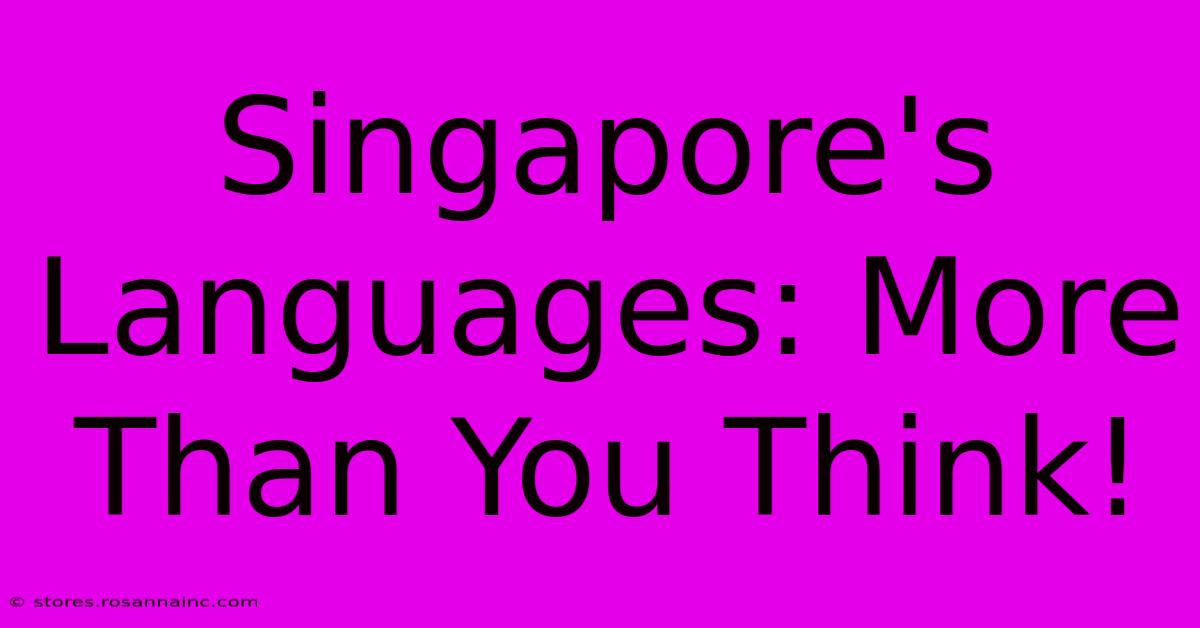 Singapore's Languages: More Than You Think!