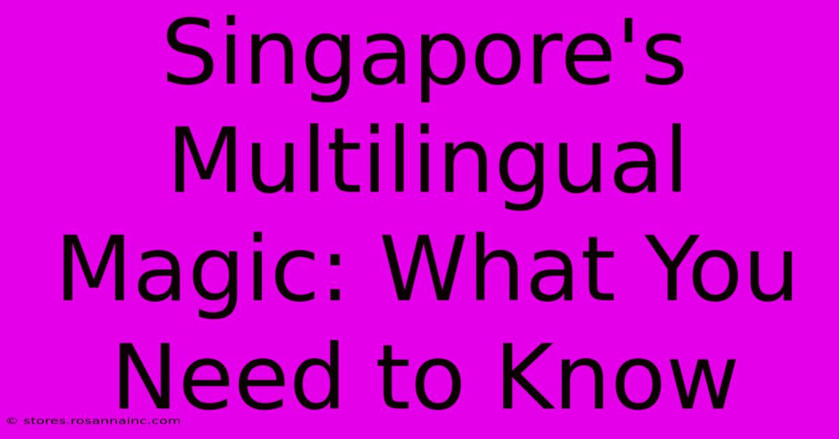 Singapore's Multilingual Magic: What You Need To Know