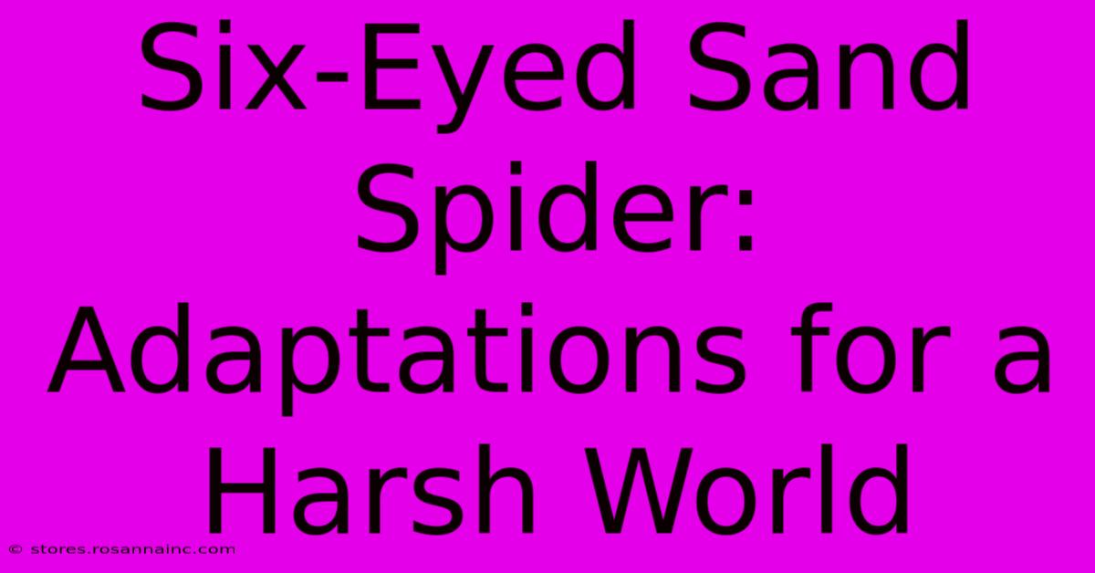 Six-Eyed Sand Spider:  Adaptations For A Harsh World