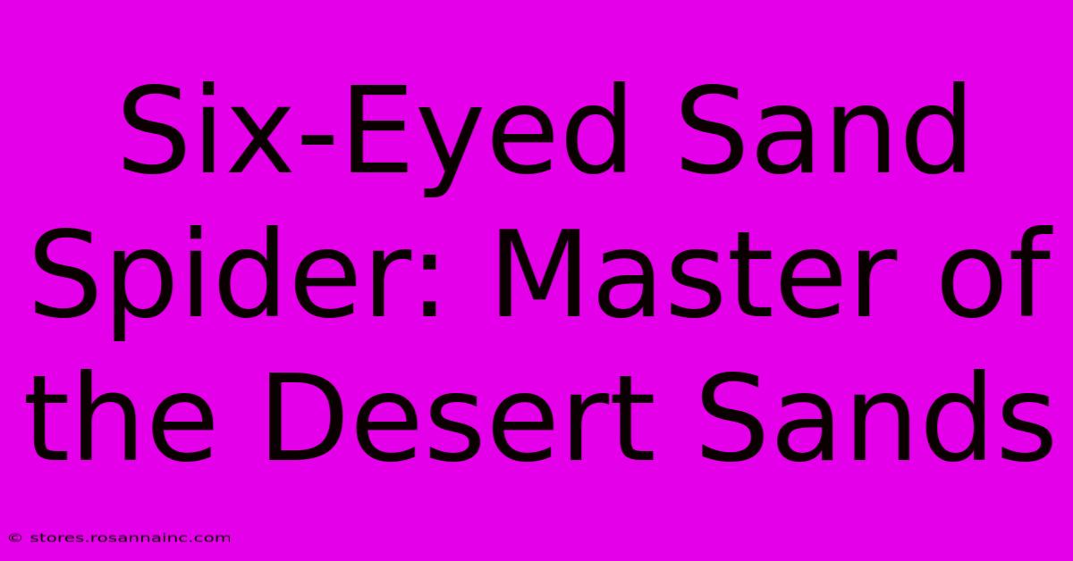 Six-Eyed Sand Spider: Master Of The Desert Sands