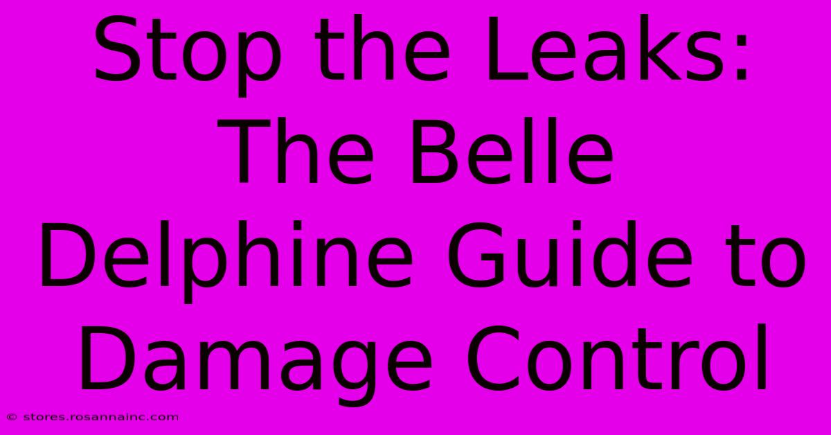 Stop The Leaks: The Belle Delphine Guide To Damage Control