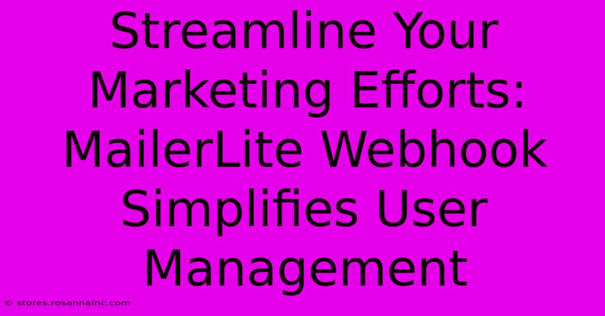 Streamline Your Marketing Efforts: MailerLite Webhook Simplifies User Management