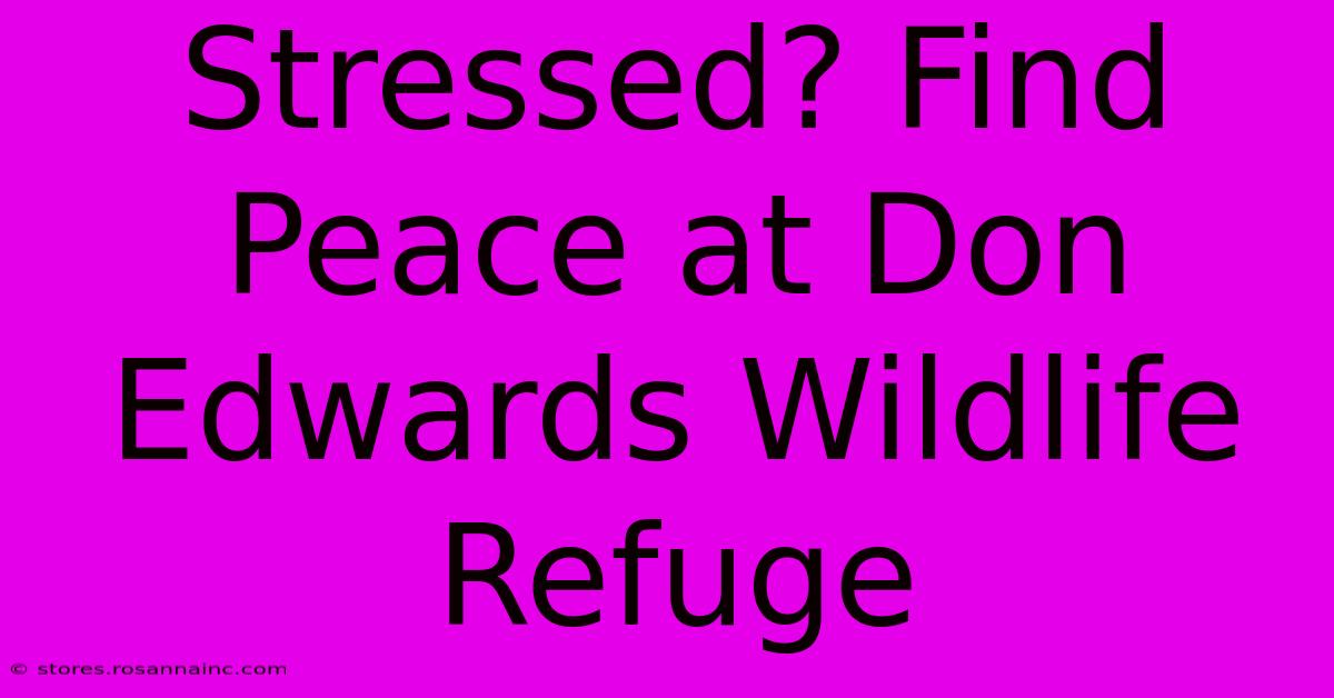 Stressed? Find Peace At Don Edwards Wildlife Refuge