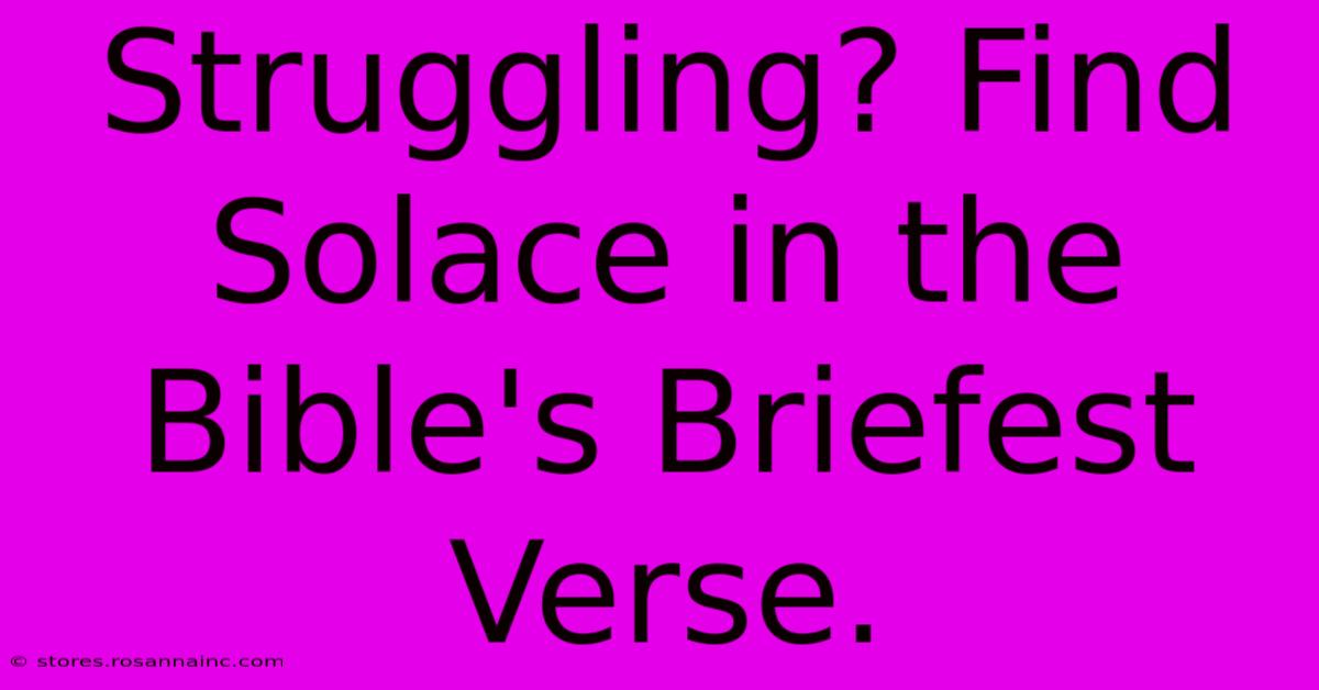 Struggling? Find Solace In The Bible's Briefest Verse.