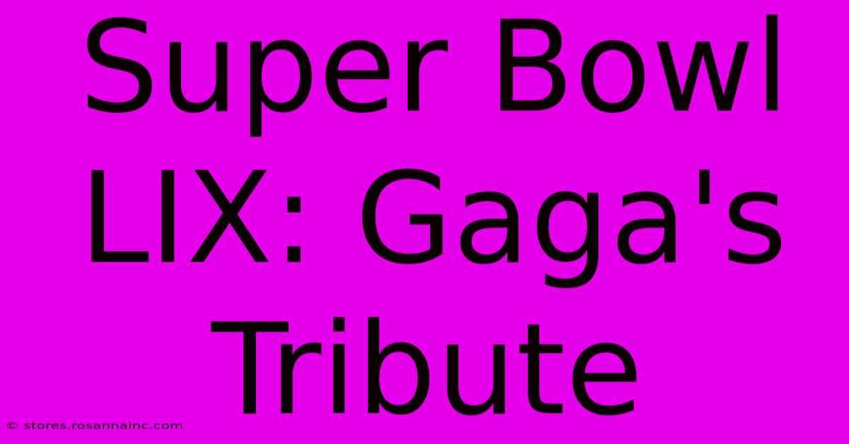 Super Bowl LIX: Gaga's Tribute