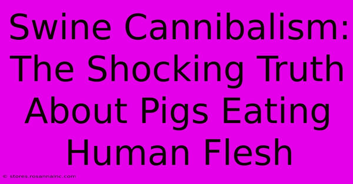 Swine Cannibalism: The Shocking Truth About Pigs Eating Human Flesh