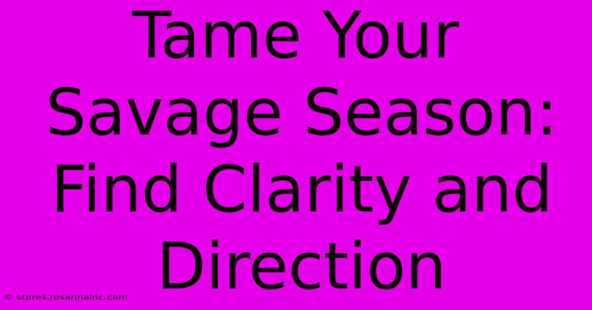 Tame Your Savage Season: Find Clarity And Direction