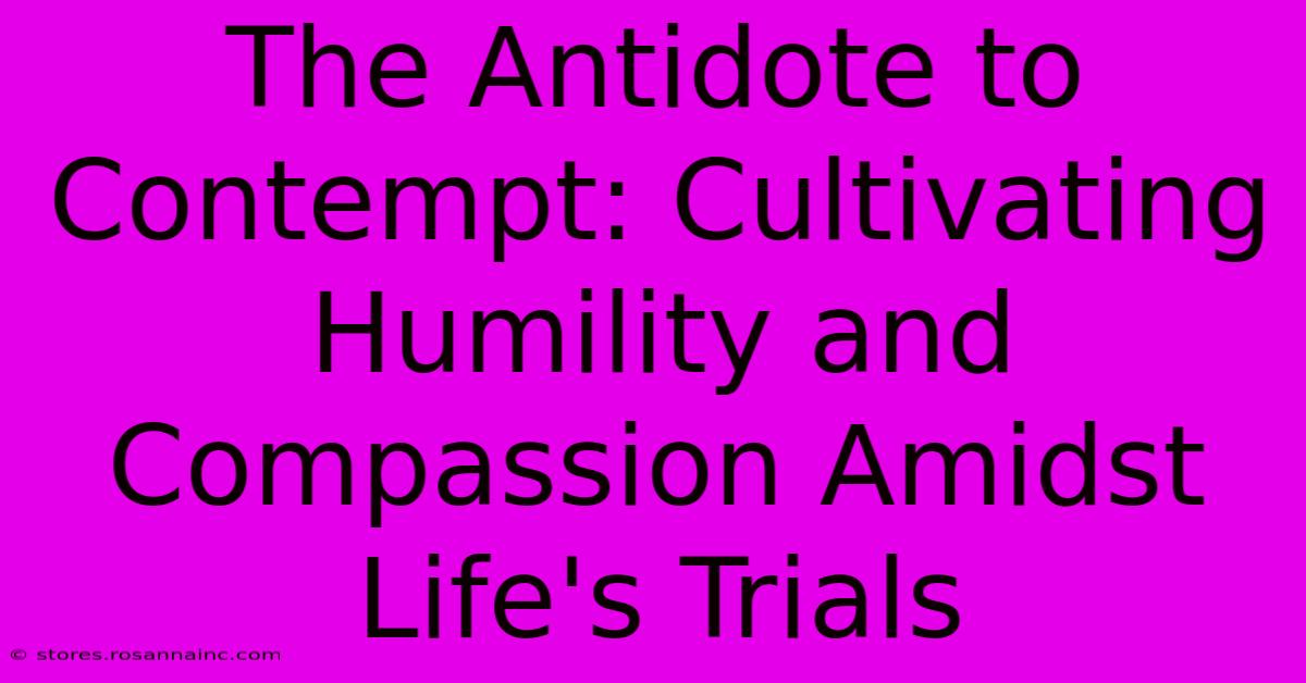 The Antidote To Contempt: Cultivating Humility And Compassion Amidst Life's Trials