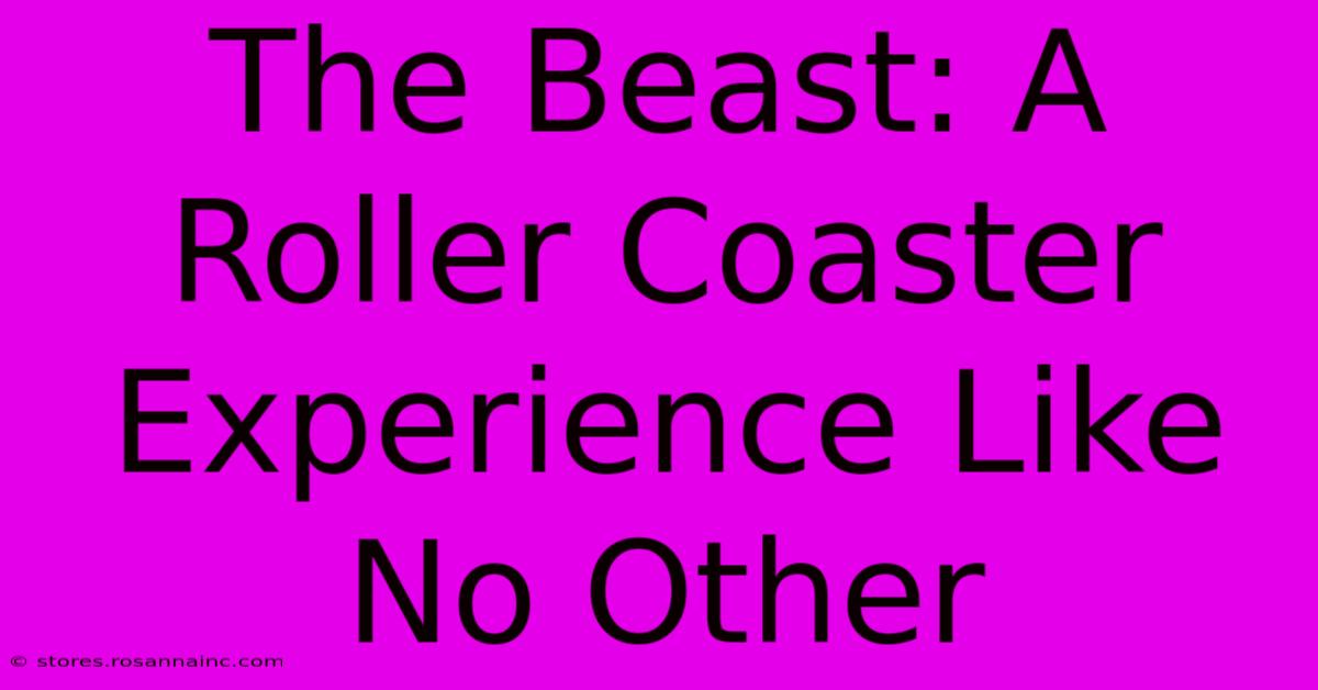 The Beast: A Roller Coaster Experience Like No Other